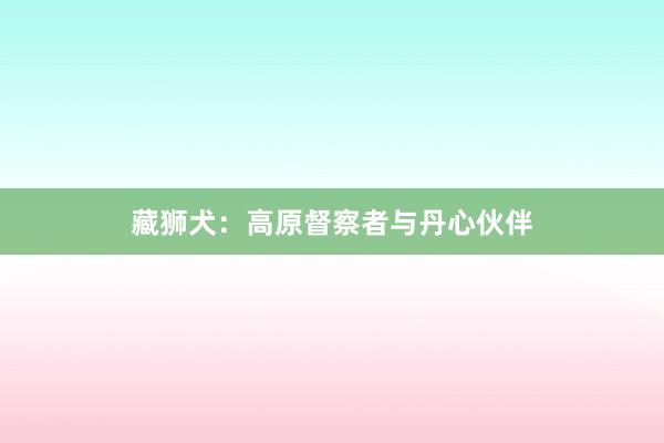 藏狮犬：高原督察者与丹心伙伴