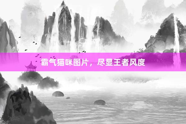 霸气猫咪图片，尽显王者风度