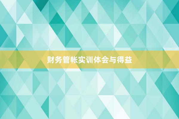 财务管帐实训体会与得益